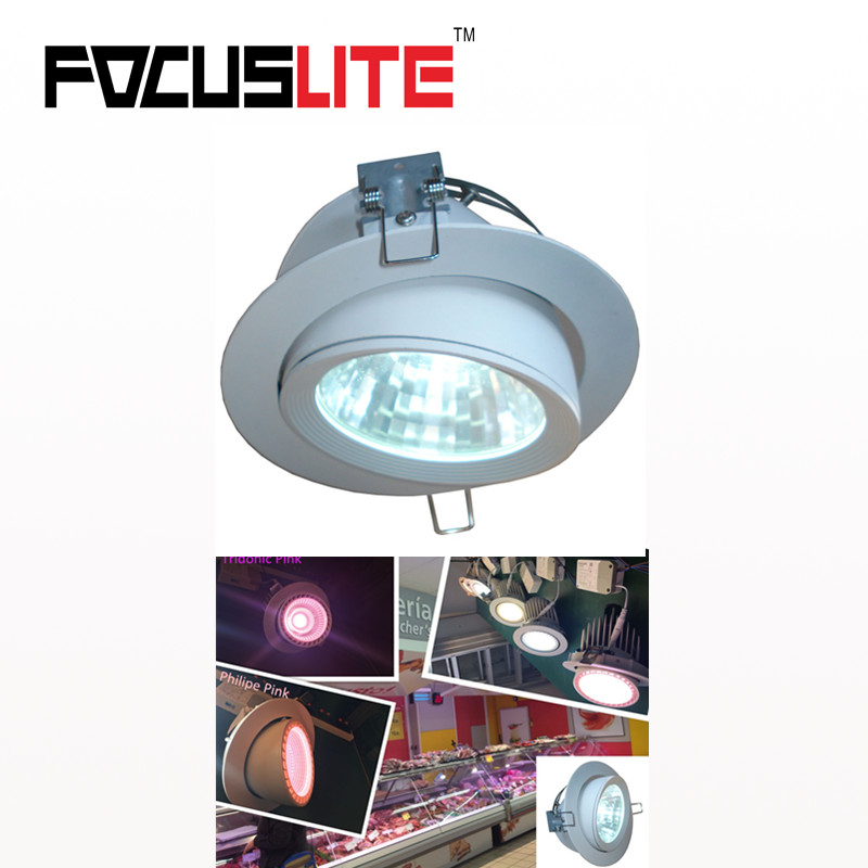 Adjustable led downlights for professional retail display lighting